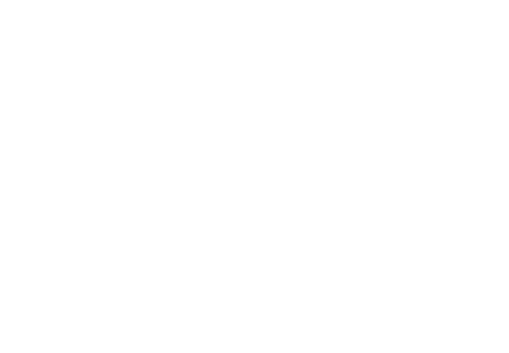 Noir Executive Travel